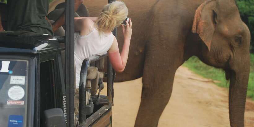 Day Safari From Hambantota - What the four-hour drive may look like