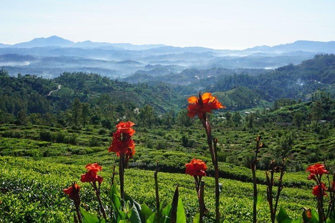 Day Tour of Nuwara Eliya - What the private car changes