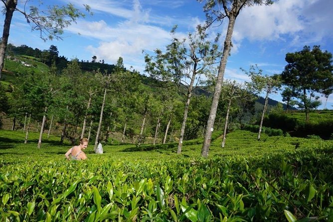 Day Tour of Nuwara Eliya - The real cost of the day