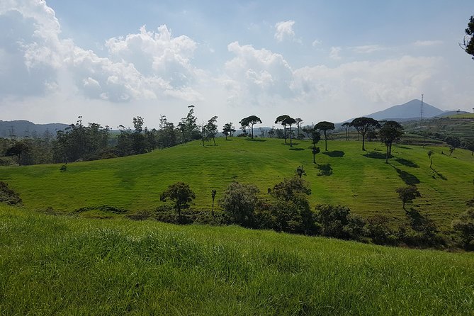 Day Tour of Nuwara Eliya - Timing, weather, and small practical details