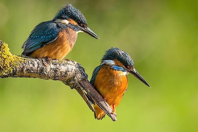 Day Tour to Anawilundawa Wetland Sanctuary - Key points before you book