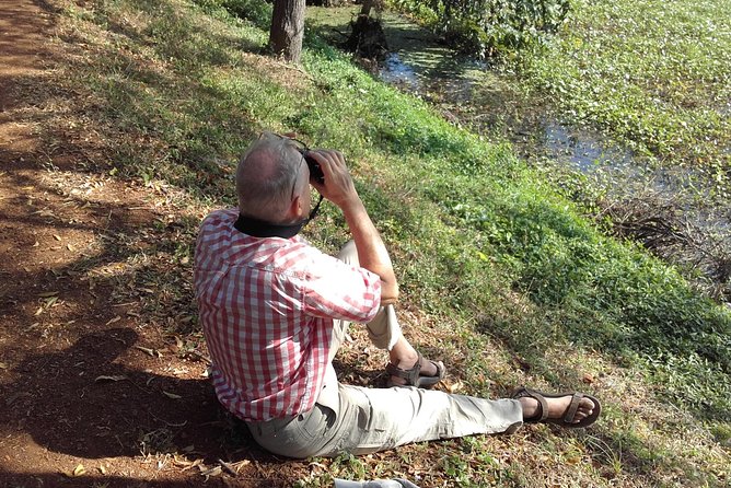 Day Tour to Anawilundawa Wetland Sanctuary - Two temple stops add a local touch