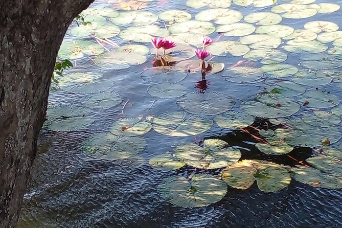 Day Tour to Anawilundawa Wetland Sanctuary - Who will get the most from this tour