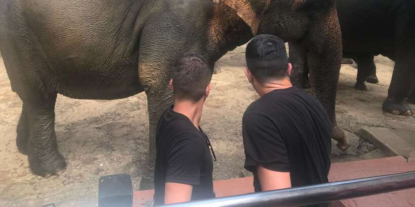 Day Tour to Elephant Orphanage / spice garden - The snack stop and possible spice garden