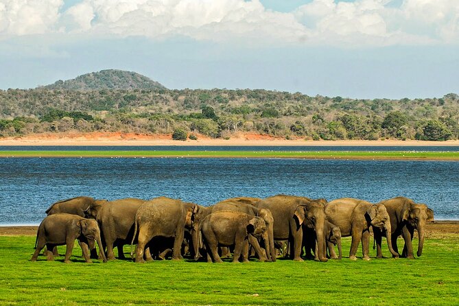 Day tour to Minneriya National Park,Sigiriya & Dambulla from Kandy - Sigiriya Rock and the main climb