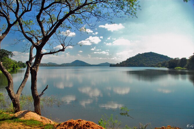 Day tour to Minneriya National Park,Sigiriya & Dambulla from Kandy - Minneriya National Park and the safari jeep