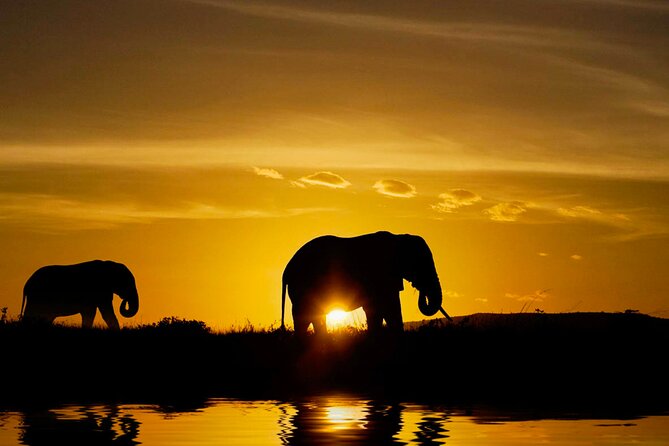Day tour to Minneriya National Park,Sigiriya & Dambulla from Kandy - The true cost of the day