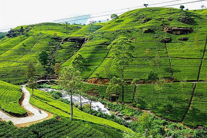 Day Tour to Nuwara Eliya from Kandy by Lux Tours Lanka - From Kandy’s hills to Nuwara Eliya’s cool air