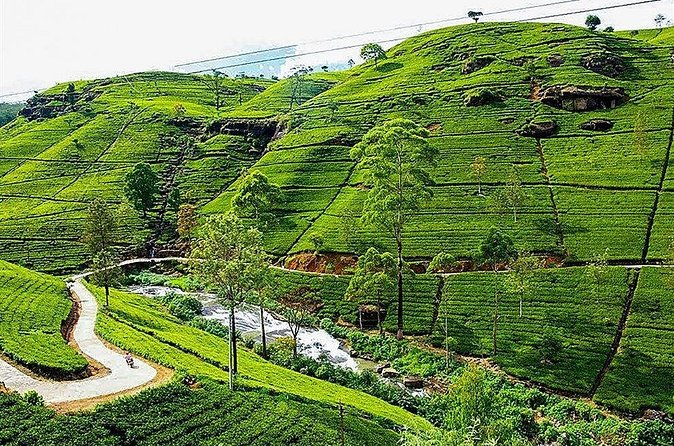 Day Tour to Nuwara Eliya from Kandy by Lux Tours Lanka - Victoria Park, a quiet green pause in town