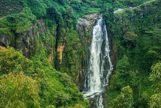 Day Tour to Nuwara Eliya from Kandy by Lux Tours Lanka - Hakgala Botanic Gardens and the best extended garden option