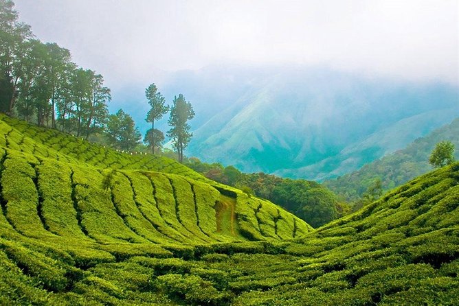 Day Tour to Nuwara Eliya from Kandy by Lux Tours Lanka - Is $160 good value for you?
