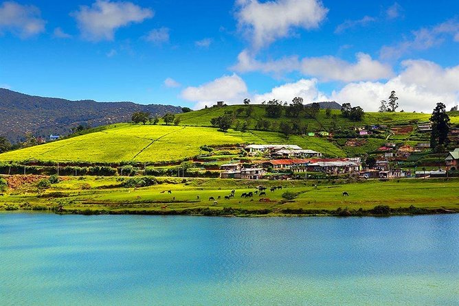 Day Tour to Nuwara Eliya from Kandy by Lux Tours Lanka - Gregory Lake, Nuwara Eliya’s easy first stop