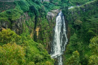 Day tour to Nuwareeliya (Little England) from Kandy