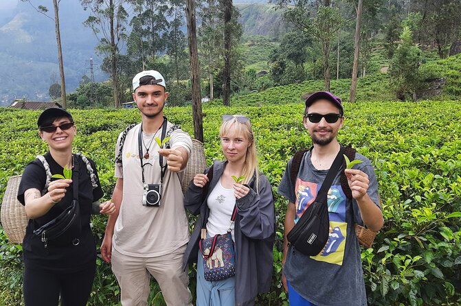 Day tour to Nuwareeliya (Little England) from Kandy - Price, timing, and what you actually receive