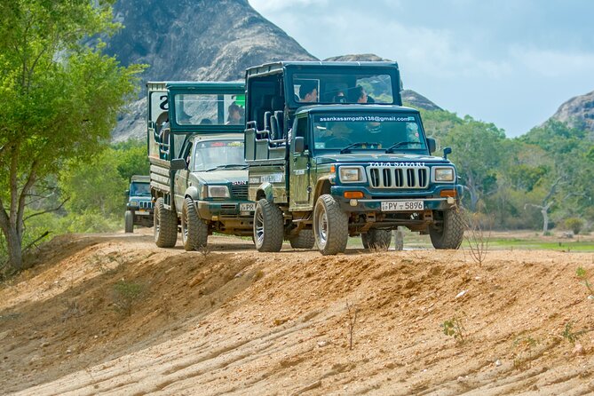 Day Tour to Wilpattu National Park from Colombo - A very long road to Sri Lanka’s largest national park