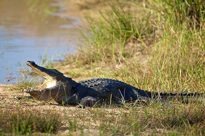 Day Tour to Wilpattu National Park from Colombo - Food, park fees, and the real cost