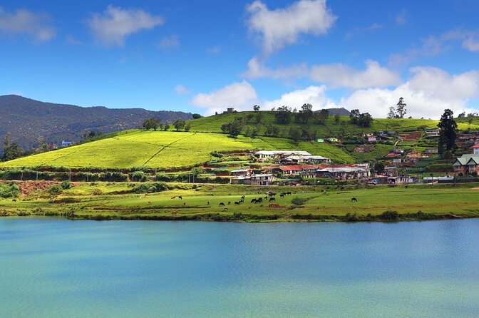 Day Trip to Nuwara eliya from Kandy - Key points to know before booking