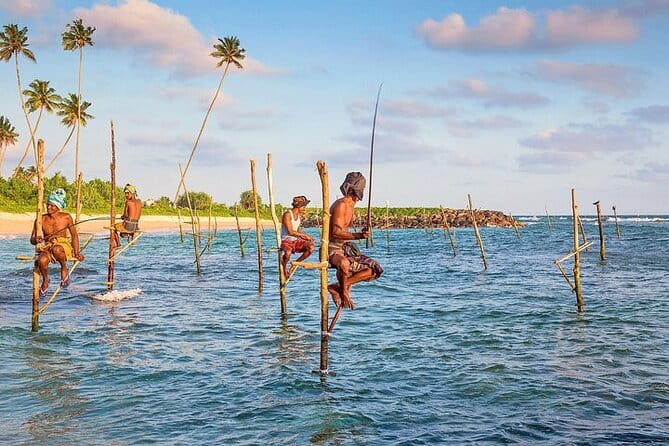 Day trips to Galle from colombo Visiting Its Highlights - Key points at a glance