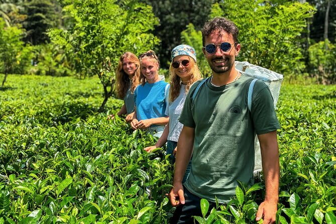 Dediyagala Village Tour(from Galle, Mirissa, Ahangama, Matara) - Key points at a glance