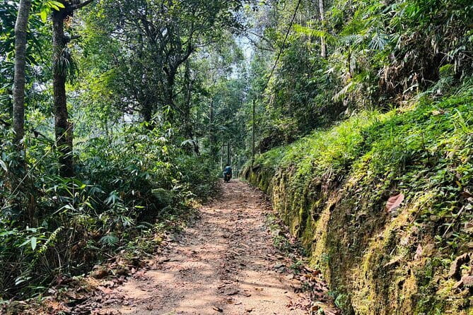Dediyagala Village Tour(from Galle, Mirissa, Ahangama, Matara) - A welcome drink and a choice of walking routes