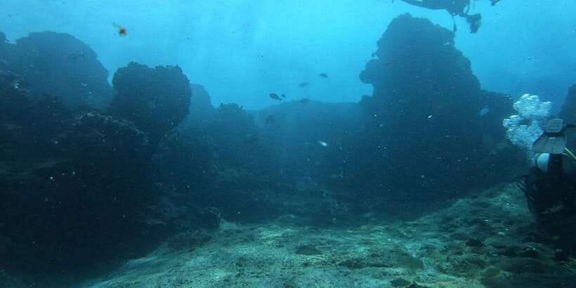 Discover Scuba Diving : Hikkaduwa : Scuba Diving - Starting inside Coral Sands Hotel in Hikkaduwa