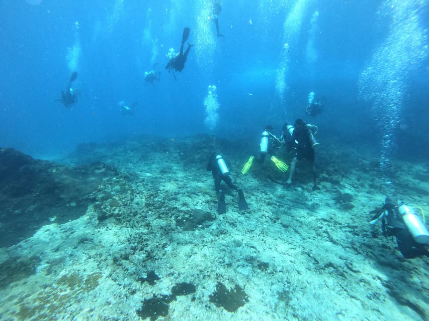Discover Scuba Diving : Hikkaduwa : Scuba Diving - What the $91 price really covers