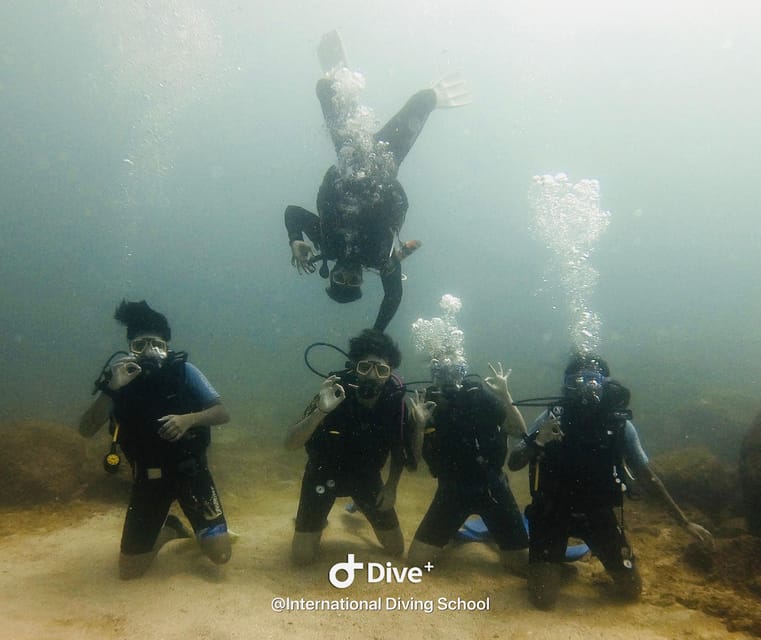Discover Scuba Diving : Hikkaduwa : Scuba Diving - Who will enjoy this most