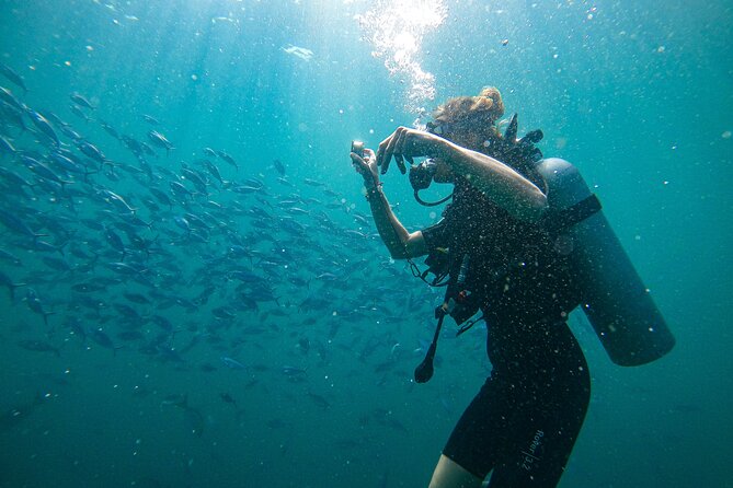 Discover SCUBA Diving in Beautiful Unawatuna Bay - Key points to know before you book