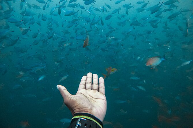 Discover SCUBA Diving in Beautiful Unawatuna Bay - Safety and instructor support