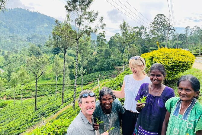 Discover Sri Lanka with Tailored Tours for Timeless Memories - Why this Sri Lanka tour works best as a private trip