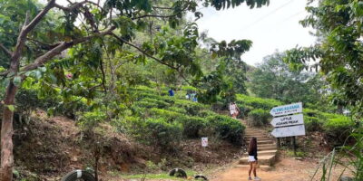 Discover the Best of Sri Lanka in 2 Days