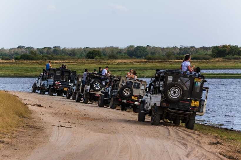 Elephant Jeep Safari at Minneriya National Park - Who will enjoy this safari most