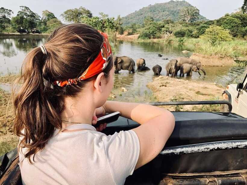 Elephant Kingdom Safari – Minneriya National Park - Is $22 per person good value?
