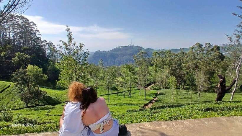 Ella: 9 Arches Bridge, Little Adam's Peak, Tea Factory - Who should book this Ella tour