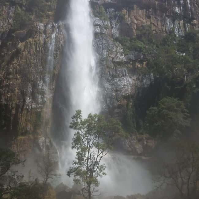 Ella: All-Inclusive Diyaluma and Ravana Waterfalls Day Tour - The jungle walk to Upper Diyaluma
