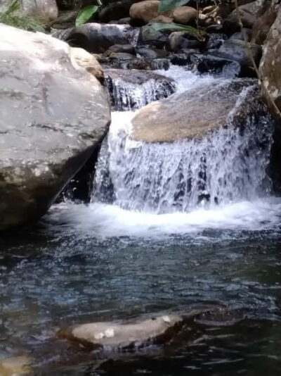 Cinnamon, Spice Garden & Waterfall tour