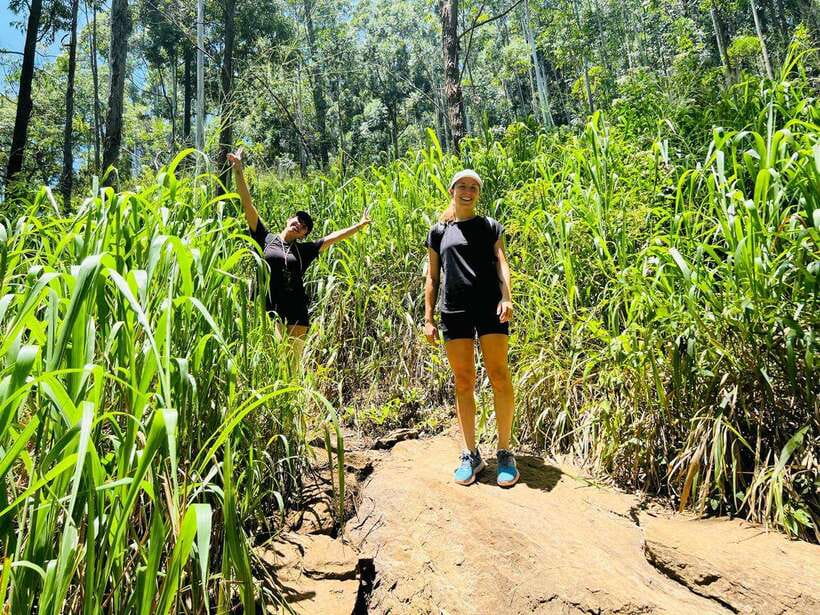 Ella Day Tour from Kandy with tea factory - Ramboda Falls begins the scenic route