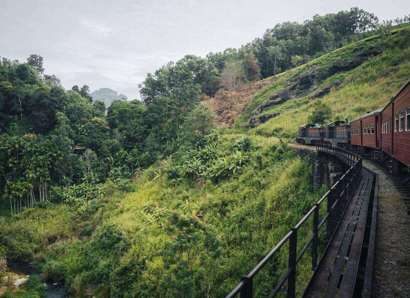 Ella Day Tour: with Tea Factory Visit from Colombo/Bentota - The road from the coast to the Central Highlands