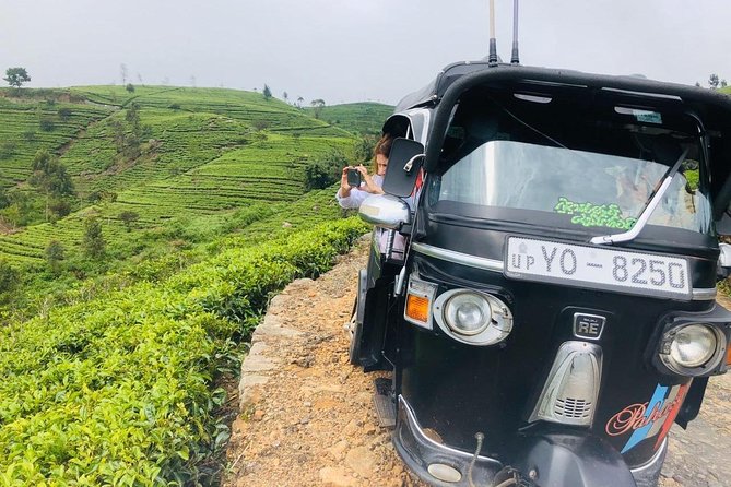 Ella Day Trip from Mirissa, Weligama, Galle, Hikkaduwa - Tea plantations, Haputale, and the flexible part of the route