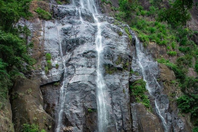 Ella Day Trip from Mirissa, Weligama, Galle, Hikkaduwa - What the driver-guide adds to the day