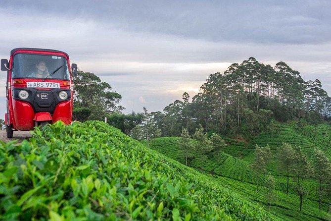 Ella Day Trip from Mirissa, Weligama, Galle, Hikkaduwa - Is $75 good value?