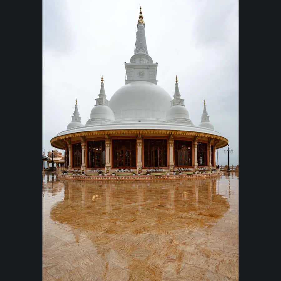 ELLA: Drop to Tangalle/Hiriketiya/Mirissa/Galle & Yala Tour - Comfort, timing, and the small practical details