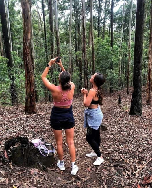 Ella: Ella Rock, 9 Arch, Little Adams Peak, & Waterfall Tour - Key points at a glance