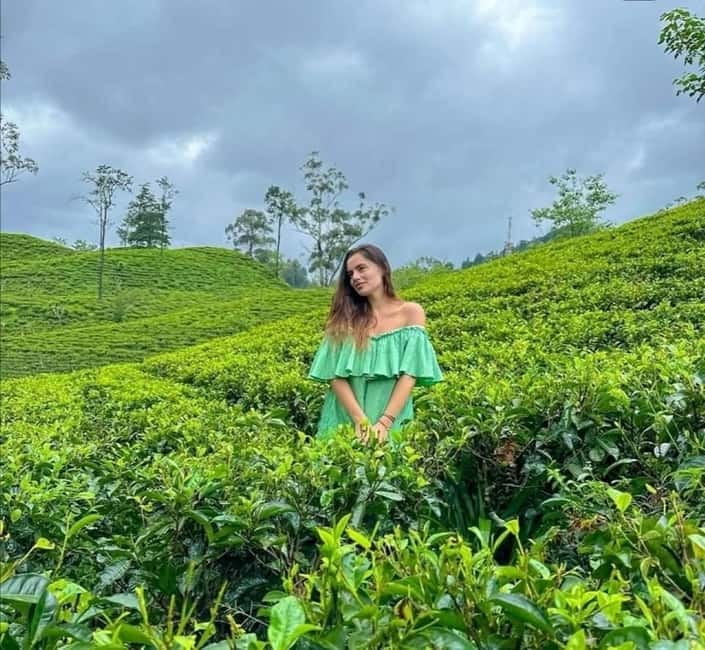 Ella: Ella Rock, 9 Arch, Little Adams Peak, & Waterfall Tour - Ella Rock is the serious hike