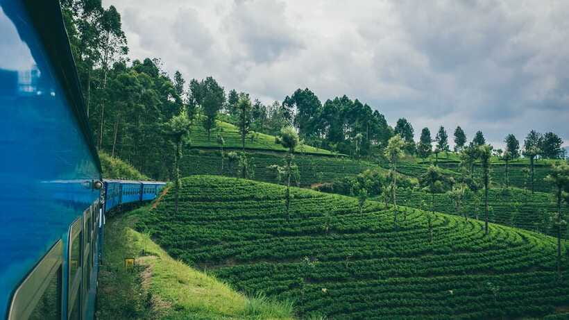 Ella: First Class Scenic Train Ticket To/From Nanuoya - Who will enjoy this most