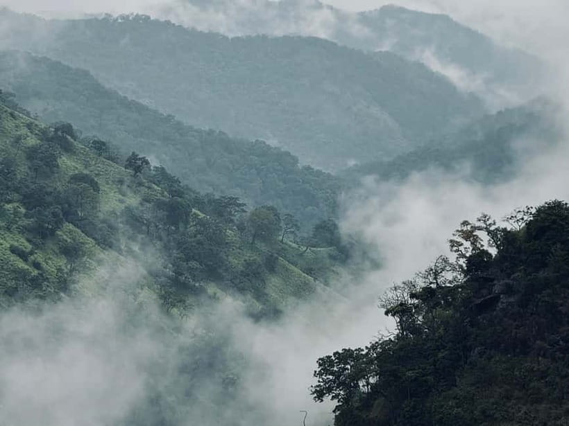 Ella Full-Day Tour from Mirissa/Ahangama/Hikkaduwa/Bentota - Lipton’s Seat and the tea-country views