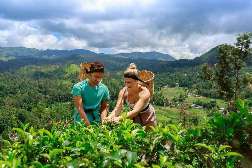 Ella: Little Adam's Peak, 9 Arch Bridge, Ravana Falls Tour - Who should book this Ella outing?