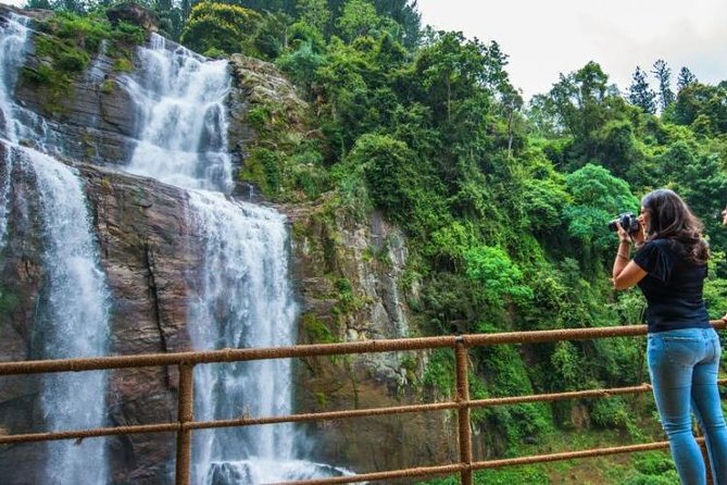 Ella Private Day Tour From Kandy - Tea at Damro Labookellie