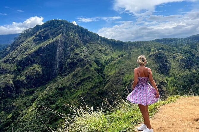 Ella Private Day Tour with Train Ride and Visit to Nine Arch - Ella Organic Tea Garden: a short look at tea country