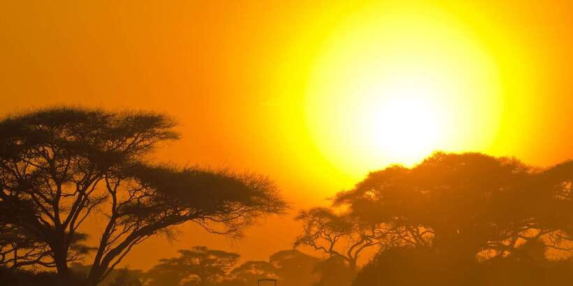 Ella: Shuttle to Mirissa/Galle/Hikkaduwa & Udawalawa Safari - Should you book it?